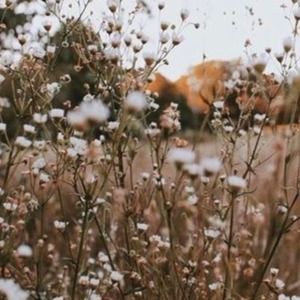 Meet your Posher, Kyla